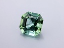 Green Tourmaline 8.80mm Square Emerald Cut